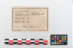 Foto von Bronzebogenfibel (NHMW-PRAE-024079)